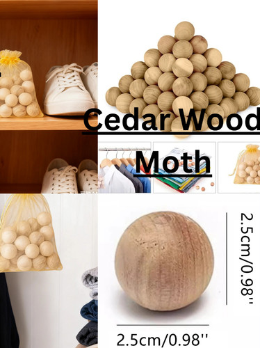 Pcscedar wood moth - pcscedar,